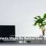 Houseplants Might Be Behind Your Sluggish Wi-Fi