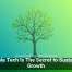 Scalable Tech Is The Secret to Sustainable Growth